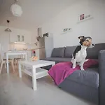 Feniks 8 By Jantar